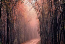 一球小胜 U22国战胜韩国U22国际球邀请赛中国U22男韩国U22男.