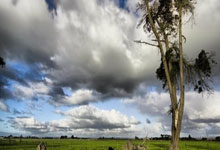 PG:仇恨拉满!38岁传奇破门,160天后再讽热刺:我1个冠军,你们0个.