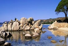 [CBA]布莱德索突分篮下 王哲林吃饼暴.